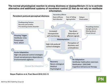 The normal physiological reaction to strong dizziness or dysequilibrium (1) is to activate alternative and additional systems of movement control (2) that.