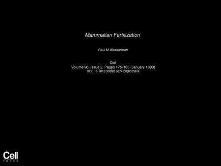 Mammalian Fertilization