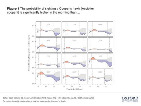 Figure 1 The probability of sighting a Cooper’s hawk (Accipiter cooperii) is significantly higher in the morning than ... Figure 1 The probability of sighting.