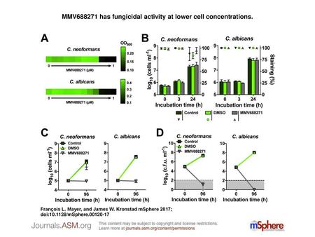 MMV has fungicidal activity at lower cell concentrations.