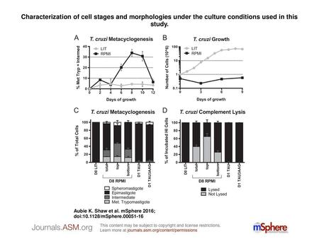 Characterization of cell stages and morphologies under the culture conditions used in this study. Characterization of cell stages and morphologies under.