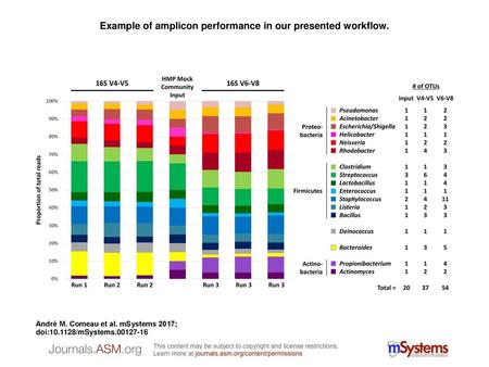 Example of amplicon performance in our presented workflow.