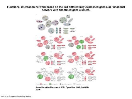 Functional interaction network based on the 234 differentially expressed genes. a) Functional network with annotated gene clusters. Functional interaction.