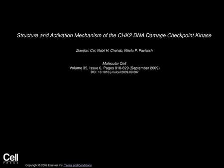 Zhenjian Cai, Nabil H. Chehab, Nikola P. Pavletich  Molecular Cell 