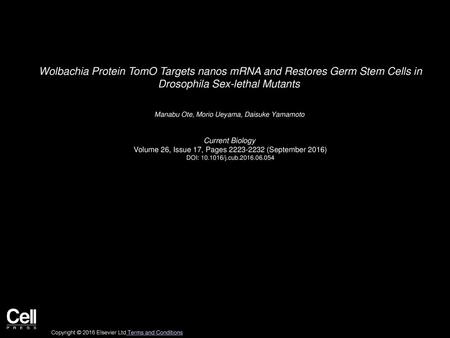 Wolbachia Protein TomO Targets nanos mRNA and Restores Germ Stem Cells in Drosophila Sex-lethal Mutants  Manabu Ote, Morio Ueyama, Daisuke Yamamoto  Current.