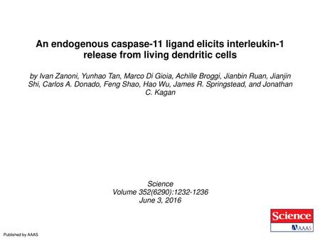 An endogenous caspase-11 ligand elicits interleukin-1 release from living dendritic cells by Ivan Zanoni, Yunhao Tan, Marco Di Gioia, Achille Broggi, Jianbin.