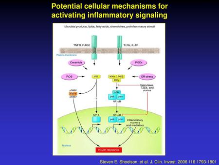 Potential cellular mechanisms for activating inflammatory signaling