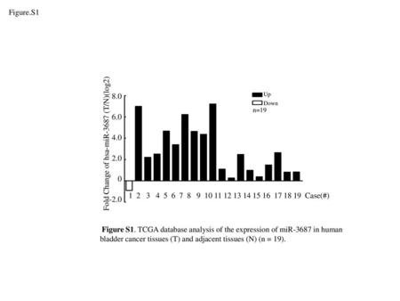 Fold Change of hsa-miR-3687 (T/N)(log2)