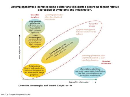 Asthma phenotypes identified using cluster analysis plotted according to their relative expression of symptoms and inflammation. Asthma phenotypes identified.