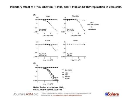 Inhibitory effect of T-705, ribavirin, T-1105, and T-1106 on SFTSV replication in Vero cells. Inhibitory effect of T-705, ribavirin, T-1105, and T-1106.