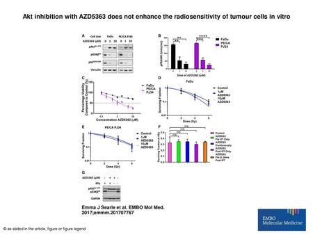 Akt inhibition with AZD5363 does not enhance the radiosensitivity of tumour cells in vitro Akt inhibition with AZD5363 does not enhance the radiosensitivity.