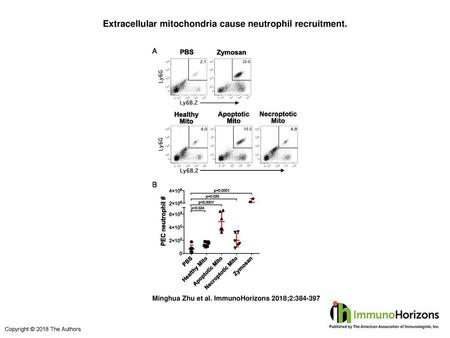 Extracellular mitochondria cause neutrophil recruitment.