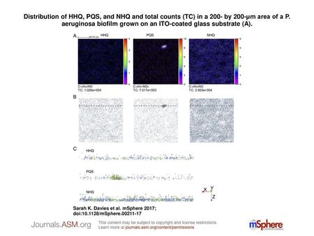 Distribution of HHQ, PQS, and NHQ and total counts (TC) in a 200- by 200-μm area of a P. aeruginosa biofilm grown on an ITO-coated glass substrate (A).