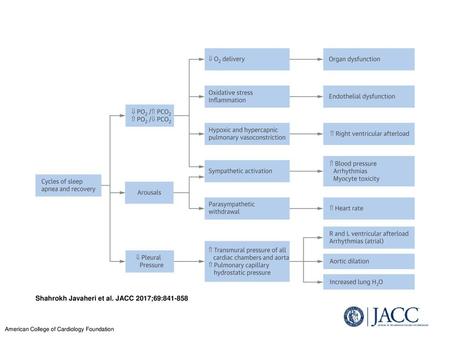 Shahrokh Javaheri et al. JACC 2017;69: