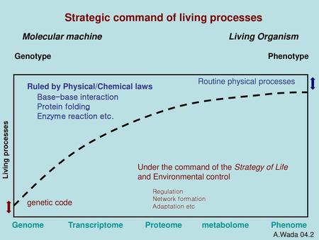 Strategic command of living processes