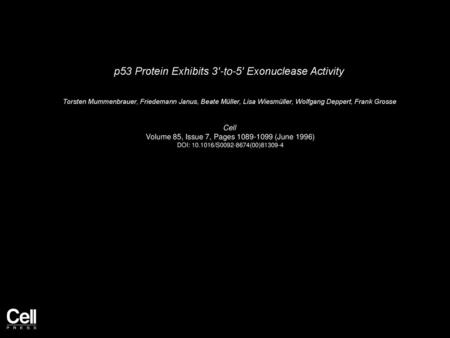 p53 Protein Exhibits 3′-to-5′ Exonuclease Activity