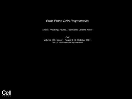 Error-Prone DNA Polymerases