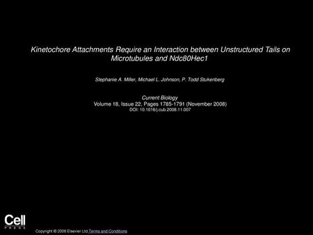 Kinetochore Attachments Require an Interaction between Unstructured Tails on Microtubules and Ndc80Hec1  Stephanie A. Miller, Michael L. Johnson, P. Todd.