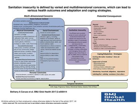 Sanitation insecurity is defined by varied and multidimensional concerns, which can lead to various health outcomes and adaptation and coping strategies.