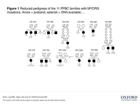 Figure 1 Reduced pedigrees of the 11 PFBC families with MYORG mutations. Arrow = proband; asterisk = DNA available; ... Figure 1 Reduced pedigrees of the.