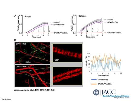 Janina Jamasbi et al. BTS 2016;1: