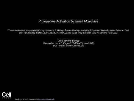 Proteasome Activation by Small Molecules