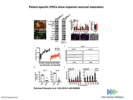 Patient-specific iPSCs show impaired neuronal maturation.