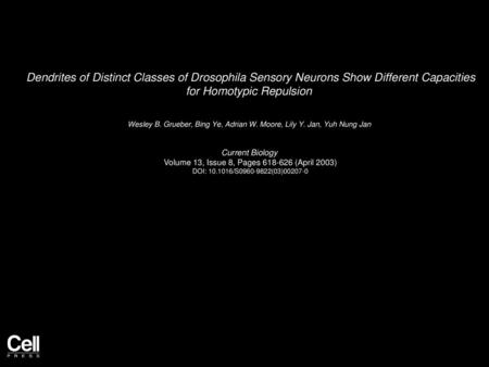 Dendrites of Distinct Classes of Drosophila Sensory Neurons Show Different Capacities for Homotypic Repulsion  Wesley B. Grueber, Bing Ye, Adrian W. Moore,