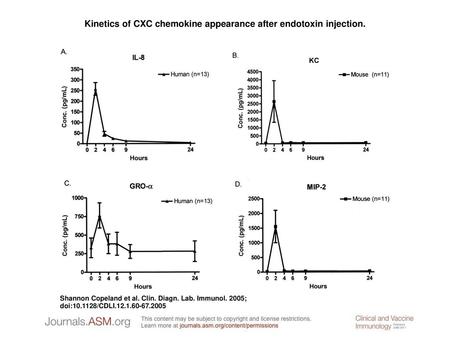 Kinetics of CXC chemokine appearance after endotoxin injection.