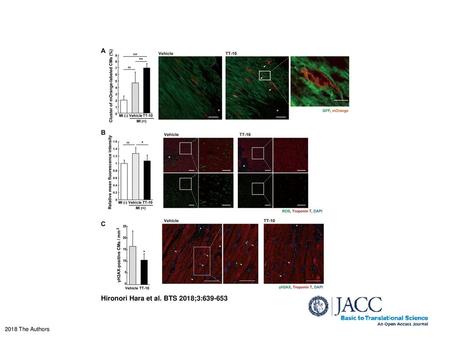 Hironori Hara et al. BTS 2018;3: