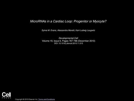 MicroRNAs in a Cardiac Loop: Progenitor or Myocyte?