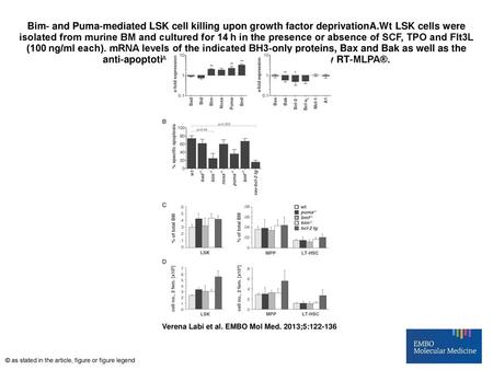 Bim‐ and Puma‐mediated LSK cell killing upon growth factor deprivationA.Wt LSK cells were isolated from murine BM and cultured for 14 h in the presence.