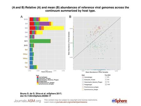 (A and B) Relative (A) and mean (B) abundances of reference viral genomes across the continuum summarized by host type. (A and B) Relative (A) and mean.