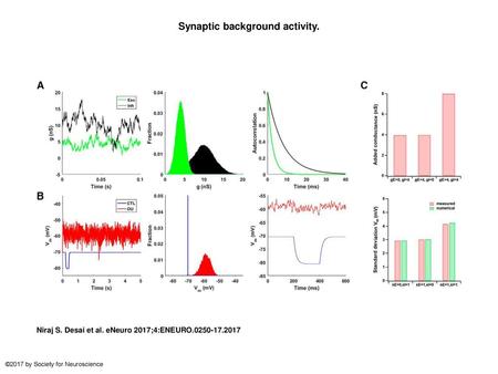 Synaptic background activity.