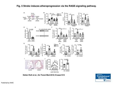 Stroke induces atheroprogression via the RAGE-signaling pathway