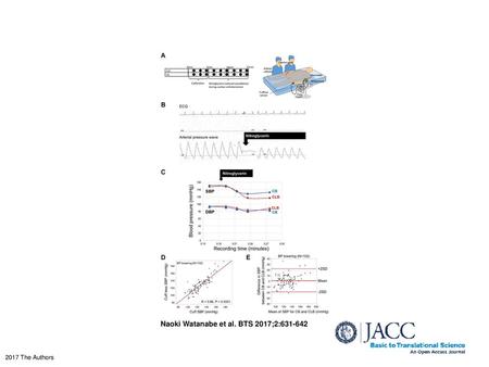 Naoki Watanabe et al. BTS 2017;2: