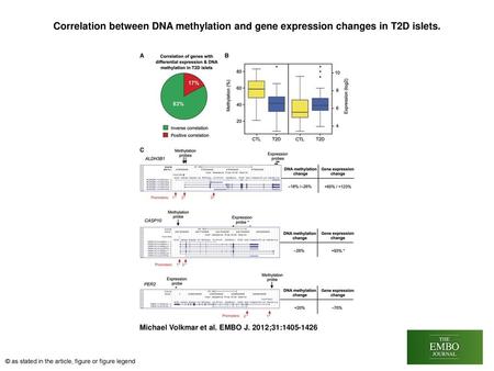 Correlation between DNA methylation and gene expression changes in T2D islets. Correlation between DNA methylation and gene expression changes in T2D islets.