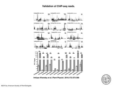 Validation of ChIP-seq reads.