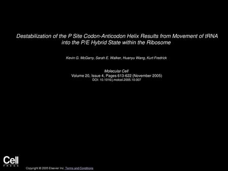 Destabilization of the P Site Codon-Anticodon Helix Results from Movement of tRNA into the P/E Hybrid State within the Ribosome  Kevin G. McGarry, Sarah.