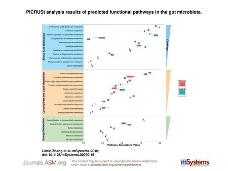 PICRUSt analysis results of predicted functional pathways in the gut microbiota. PICRUSt analysis results of predicted functional pathways in the gut microbiota.