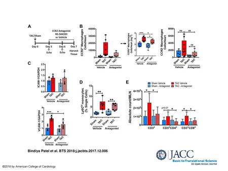 Bindiya Patel et al. BTS 2018;j.jacbts