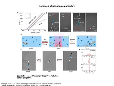 Schemes of nanoscale assembly.