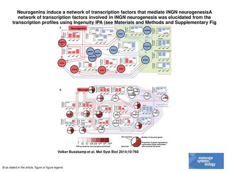 Neurogenins induce a network of transcription factors that mediate iNGN neurogenesisA network of transcription factors involved in iNGN neurogenesis was.