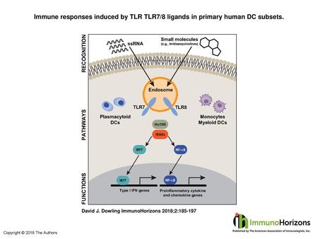 Immune responses induced by TLR TLR7/8 ligands in primary human DC subsets. Immune responses induced by TLR TLR7/8 ligands in primary human DC subsets.