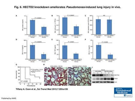 HECTD2 knockdown ameliorates Pseudomonas-induced lung injury in vivo