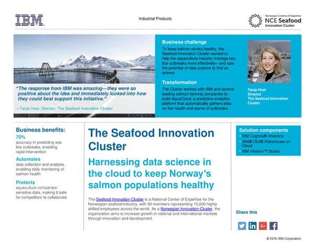 The Seafood Innovation Cluster