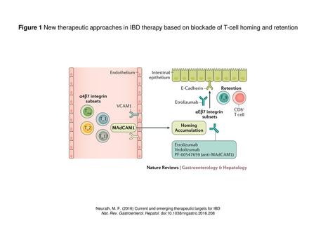 Figure 1 New therapeutic approaches in IBD therapy based on blockade of T-cell homing and retention Figure 1 | New therapeutic approaches in IBD therapy.