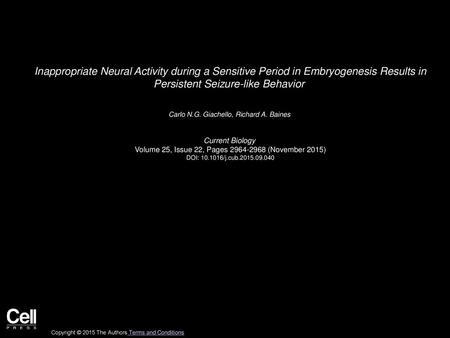 Inappropriate Neural Activity during a Sensitive Period in Embryogenesis Results in Persistent Seizure-like Behavior  Carlo N.G. Giachello, Richard A.