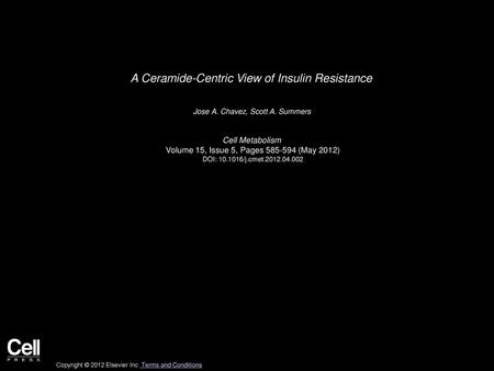 A Ceramide-Centric View of Insulin Resistance