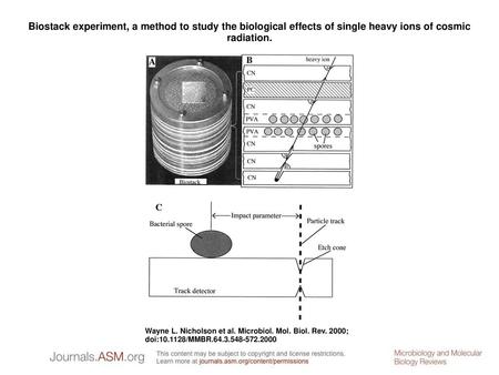 Biostack experiment, a method to study the biological effects of single heavy ions of cosmic radiation. Biostack experiment, a method to study the biological.